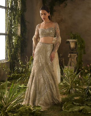 Molten luxe lehenga set