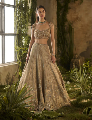 Gold spectrum lehenga set