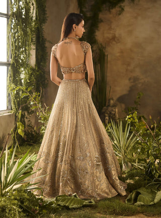 Gold spectrum lehenga set