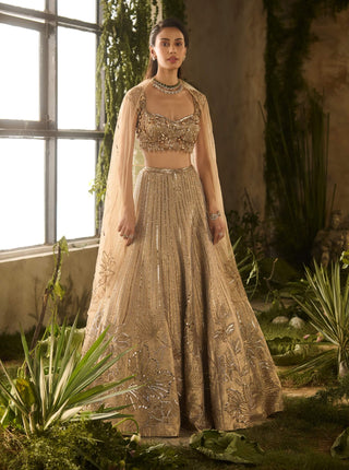Gold spectrum lehenga set