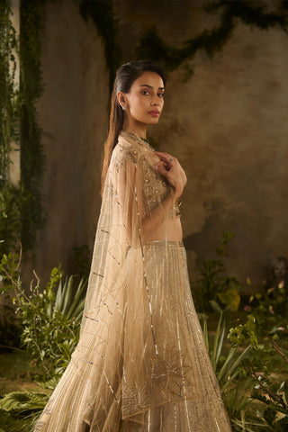 Gold spectrum lehenga set