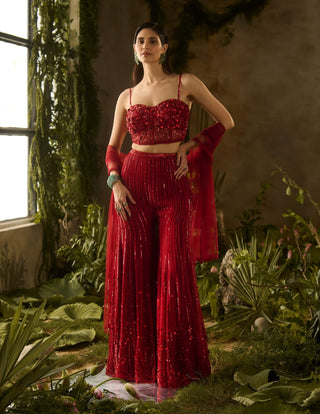 Rouge red blouse and flared pant set