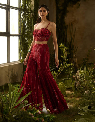 Rouge red blouse and flared pant set