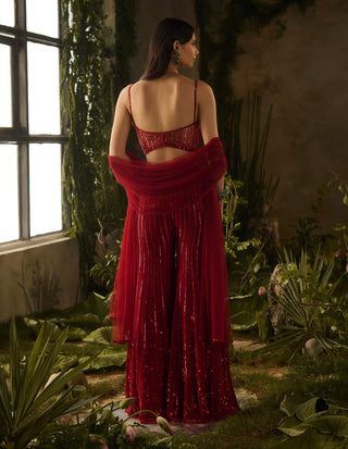 Rouge red blouse and flared pant set