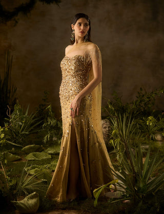 Elysia golden gown