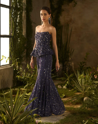 Celestial denium blue flared pant and blouse