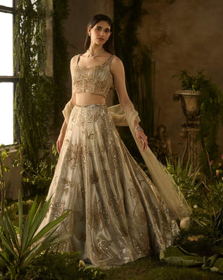 Champagne mist lehenga set
