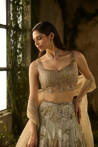 Champagne mist lehenga set