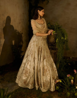 Champagne mist lehenga set