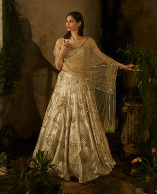 Champagne mist lehenga set