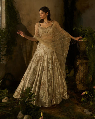 Champagne mist lehenga set