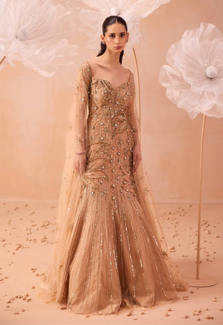 Gold net gleaming gown