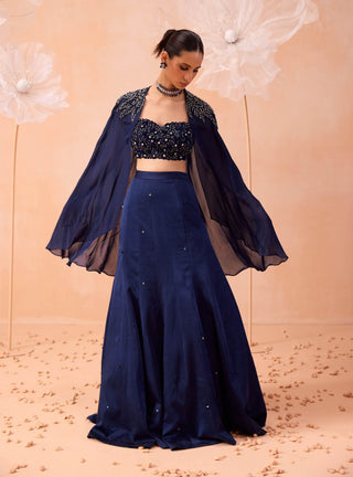 Blue Cape And Lehenga Set by Parul Gandhi available on Indiaspopup.com