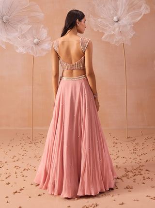 Nude Pink Embellished Lehenga Set by Parul Gandhi available on Indiaspopup.com