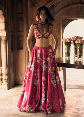 Rani pink embroidery lehenga set