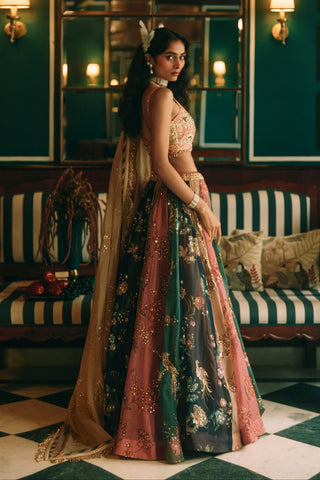 Aura multicolor lehenga set