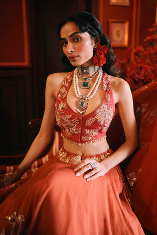 Dreamlet rust orange lehenga set