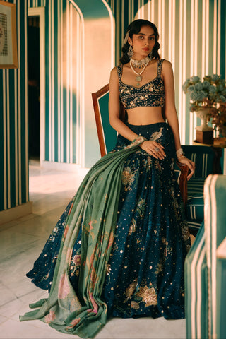 Whimsy navy blue lehenga set