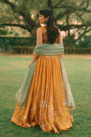 Elinor mustard yellow lehenga set