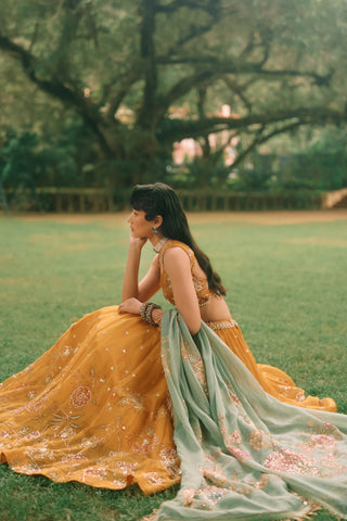 Elinor mustard yellow lehenga set