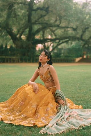 Elinor mustard yellow lehenga set