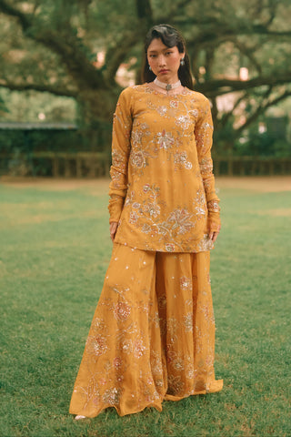 Leonara mustard yellow kurta set