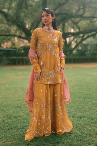 Leonara mustard yellow kurta set