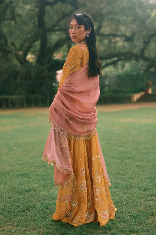 Leonara mustard yellow kurta set