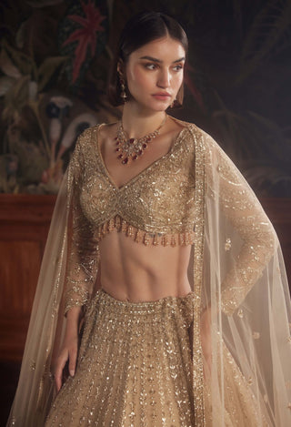 Pheonix gold lehenga set