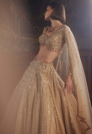 Pheonix gold lehenga set