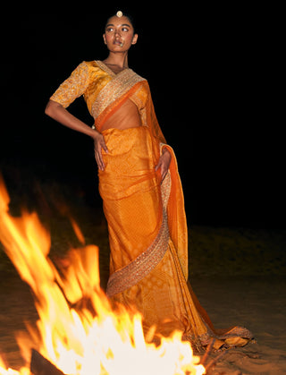 Mustard and orange classic sari and blouse