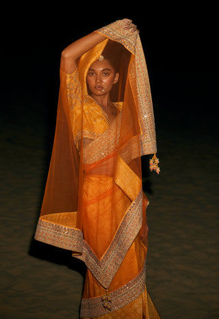 Mustard and orange classic sari and blouse