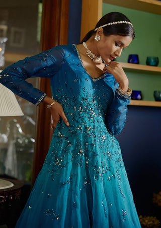 Tuhi peacock gown