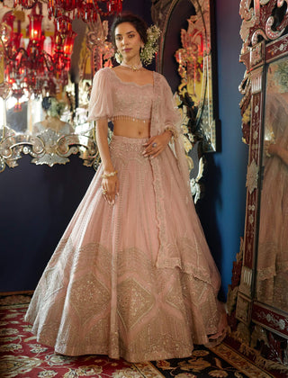 Shahnoor frosty pink lehenga set