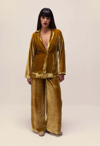 Reena Sharma-Golden Yellow Silk Velvet Jacket And Pant-INDIASPOPUP.COM