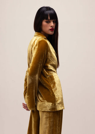 Reena Sharma-Golden Yellow Silk Velvet Jacket And Pant-INDIASPOPUP.COM