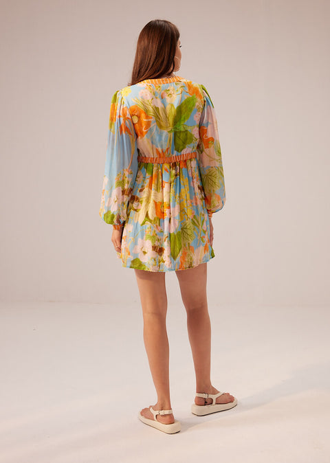 Iris short multicolor dress
