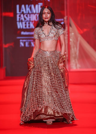 Tarakini rose gold lehenga set