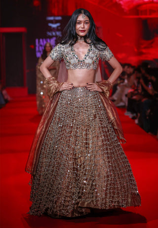 Tarakini rose gold lehenga set