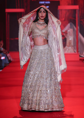 Hemangini gold lehenga set