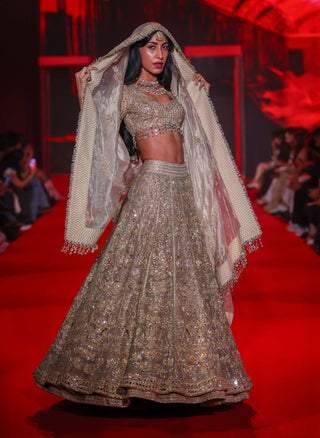 Hemangini gold lehenga set