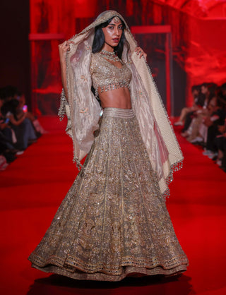 Hemangini gold lehenga set