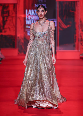 Darpanika gold lehenga and blouse