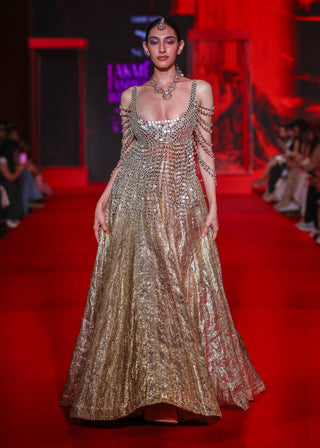 Darpanika gold lehenga and blouse