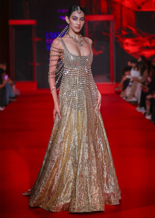 Darpanika gold lehenga and blouse