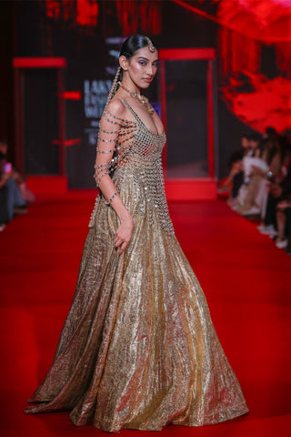 Darpanika gold lehenga and blouse