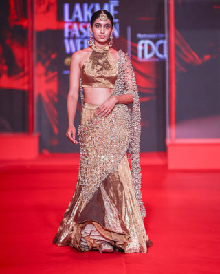Mandira bronze lehenga set