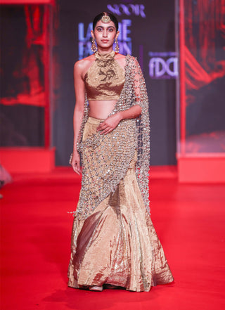 Mandira bronze lehenga set