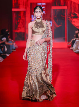 Mandira bronze lehenga set