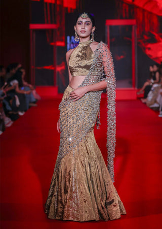 Mandira bronze lehenga set